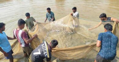 रायपुर: कृषि विज्ञान केन्द्र में मिश्रित मत्स्य पालन प्रशिक्षण सम्पन्न, मछुआरों को मिली नई तकनीकी जानकारी