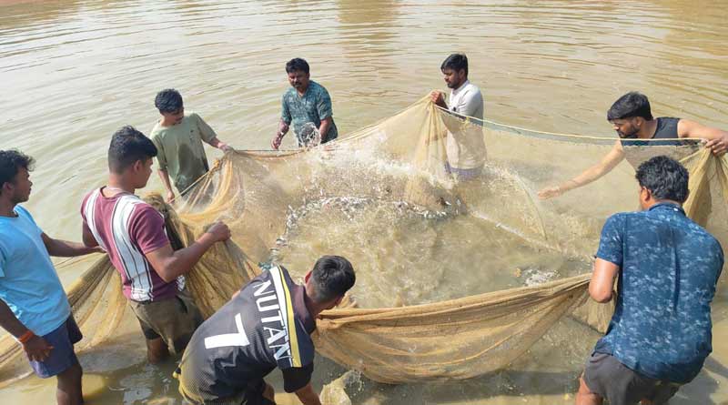 रायपुर: कृषि विज्ञान केन्द्र में मिश्रित मत्स्य पालन प्रशिक्षण सम्पन्न, मछुआरों को मिली नई तकनीकी जानकारी