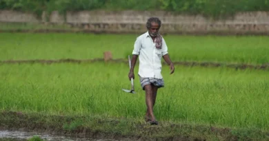 राजस्थान: करमोदा में 2 दिवसीय कृषक सेमिनार सम्पन्न, किसानों ने सीखें फल-सब्जियों की उन्नत खेती के गुर