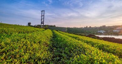 अधिक जानकारी के लिए नीचे दिए गए लिंक पर क्लिक करें