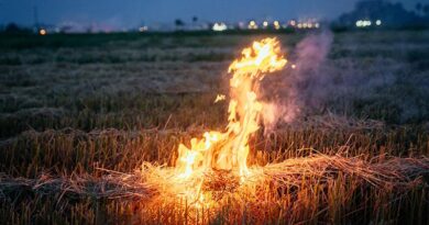 सीहोर जिले में नरवाई जलाना प्रतिबंधित किया