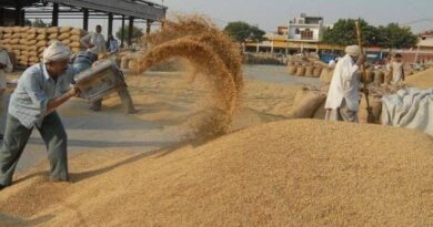 20 नवंबर से जबलपुर मंडी में नीलामी अनिश्चितकाल के लिए स्थगित  