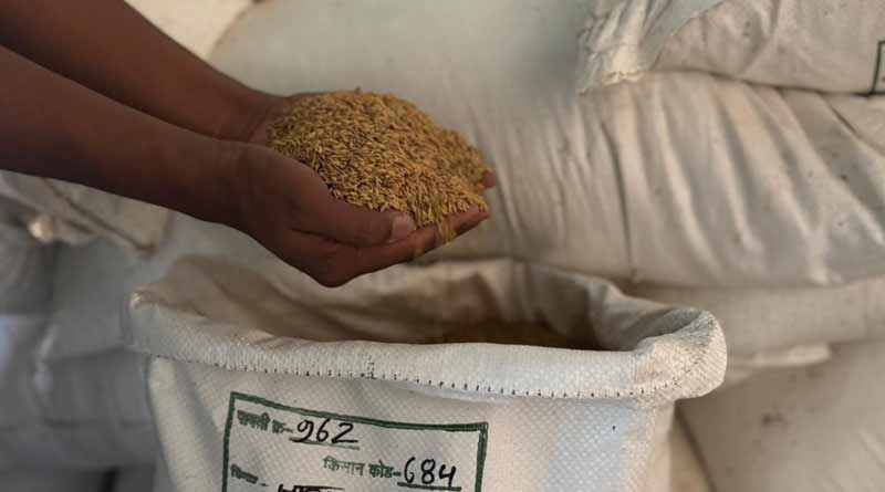 रायपुर : केंद्रीय कृषि मंत्री के मन को भाया दंतेवाड़ा का ‘जवा फूल चावल’, शिवराज सिंह ने ऑनलाइन किया ऑर्डर