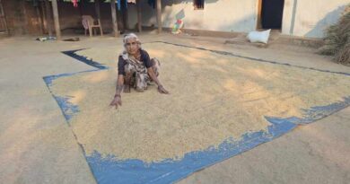 रायपुर: किसानों को मौसम का साथ मिला, अच्छी फसल और उचित दाम पाकर चेहरे पर लौटी मुस्कान