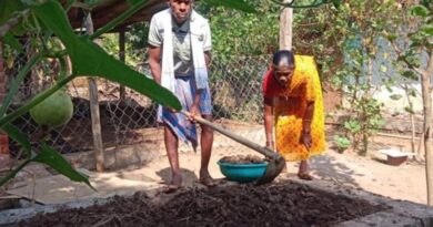 रायपुर: एकीकृत खेती मॉडल ने बदली कृषक हरसिंह की किस्मत, सालाना कमा रहे 7 लाख रुपए; जानें कैसे  