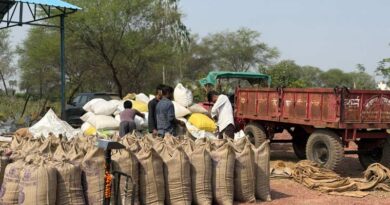 रायपुर : मुंगेली में 13 लाख रुपए का 622 क्विंटल अवैध धान जब्त, 17 व्यापारियों पर कार्रवाई  