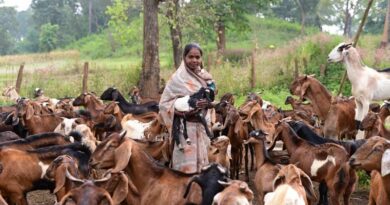 रायपुर: बकरी और सूकर पालन कर गनेशी मरकाम बनीं लखपति दीदी, सालाना 3 लाख से अधिक की कर रही कमाई