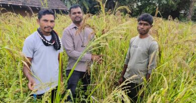 रायपुर: किसान देवा मांडवी ने धान छोड़ अपनाई मिलेट की खेती, इस खास तकनीक से हासिल की रिकॉर्ड पैदावार; जानिए कैसे