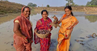 रायपुर: मछली पालन और सिंघाड़ा की मिश्रित खेती से महिलाएं कमा रही बंपर मुनाफा, अन्य किसानों के लिए बनी प्रेरणा