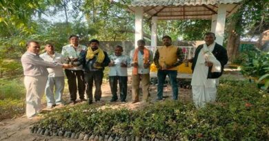 फूलों की खेती से बढ़ेगी दतिया के किसानों की आमदनी, उद्यानिकी विभाग ने दिए निःशुल्क फूलों के पौधे और बीज