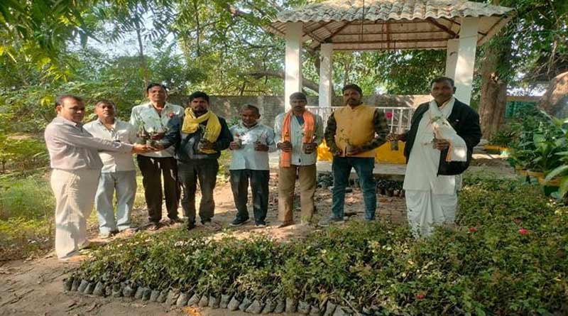 फूलों की खेती से बढ़ेगी दतिया के किसानों की आमदनी, उद्यानिकी विभाग ने दिए निःशुल्क फूलों के पौधे और बीज