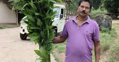 रायपुर : जूट के रेशों से किसान बुनेंगे तरक्की के धागे, प्रति एकड़ फसल से होगी ₹50,000 की आमदनी