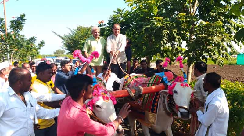 किसानों को नकली खाद-बीज से मिलेगा छुटकारा! बजट सत्र में आएगा बिल, मंत्री शिवराज सिंह ने किया बड़ा ऐलान