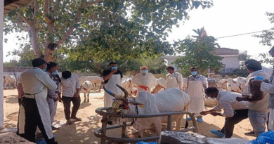 मध्यप्रदेश: सारंगपुर में 5 दिवसीय रिफ्रेशर प्रशिक्षण सम्पन्न, पशुपालकों को कृत्रिम गर्भाधान तकनीकों की दी गई जानकारी