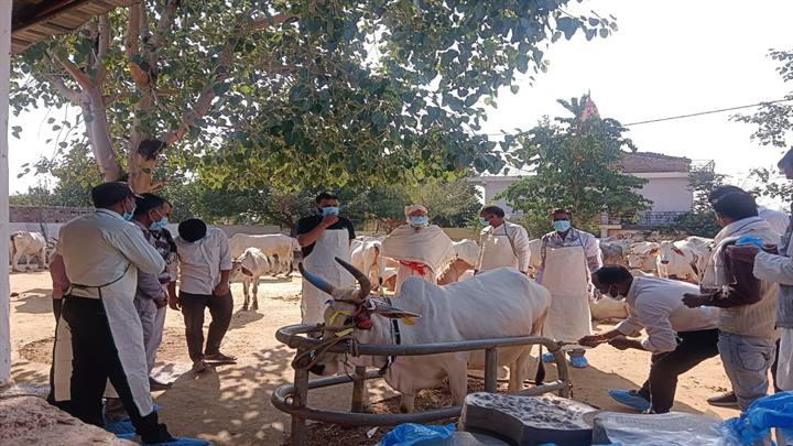 मध्यप्रदेश: सारंगपुर में 5 दिवसीय रिफ्रेशर प्रशिक्षण सम्पन्न, पशुपालकों को कृत्रिम गर्भाधान तकनीकों की दी गई जानकारी