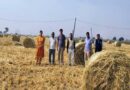 सीहोर में बेलर मशीन से हो रहा पराली प्रबंधन, खेतों की उर्वरा शक्ति भी बच रही