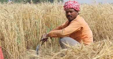 केंद्र ने गेहूं उत्पादों के निर्यात को फिर शुरू करने की प्रक्रिया तेज़ की केंद्र ने गेहूं उत्पादों के निर्यात को फिर शुरू करने की प्रक्रिया तेज़ की