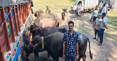मुख्यमंत्री डेयरी प्लस योजना: नीमच के 15 पशुपालकों को मिली मूर्रा नस्‍ल की दो-दो भैसें