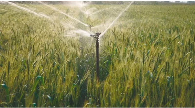 कृषकों को सिंचाई के लिए पर्याप्त पानी मिले - कलेक्टर आगर मालवा