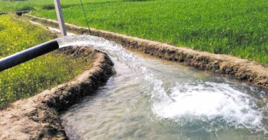 रबी सिंचाई के लिए नहरों की सफाई की तैयारियां जारी