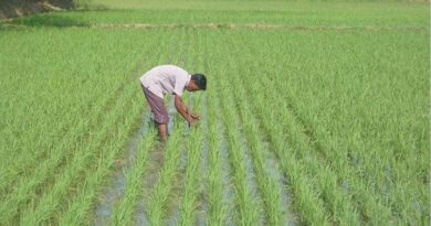 पीएम-किसान योजना: राजस्थान के 66.62 लाख किसानों के खातों में आएंगे ₹1,332.40 करोड़