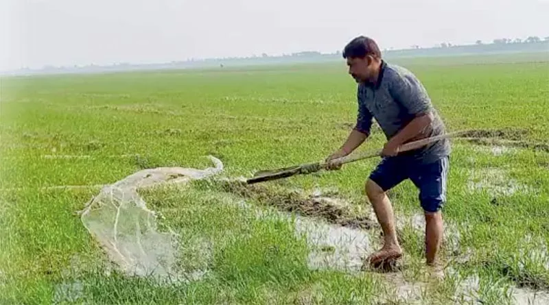 खरीफ फसलों में रिकॉर्ड वृद्धि का अनुमान, कुल खाद्यान्न उत्पादन बढ़कर 1733.30 लाख टन: केंद्रीय मंत्री शिवराज सिंह