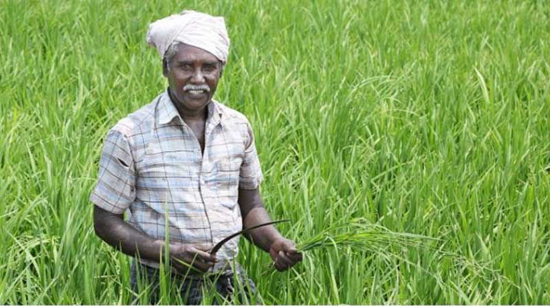 मध्यप्रदेश: सर्वोत्तम कृषक पुरस्कार हेतु 15 दिसंबर तक आवेदन करें