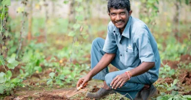 कोटा में खरीफ वर्ष 2024 के प्रभावित 50 हजार किसानों को 39.22 करोड़ रुपये का अनुदान