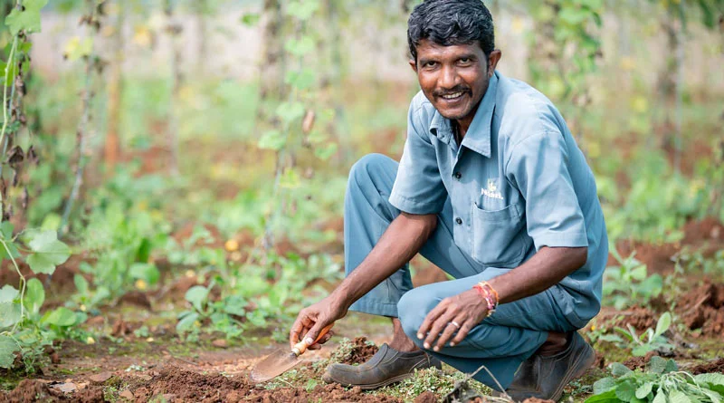 कोटा में खरीफ वर्ष 2024 के प्रभावित 50 हजार किसानों को 39.22 करोड़ रुपये का अनुदान