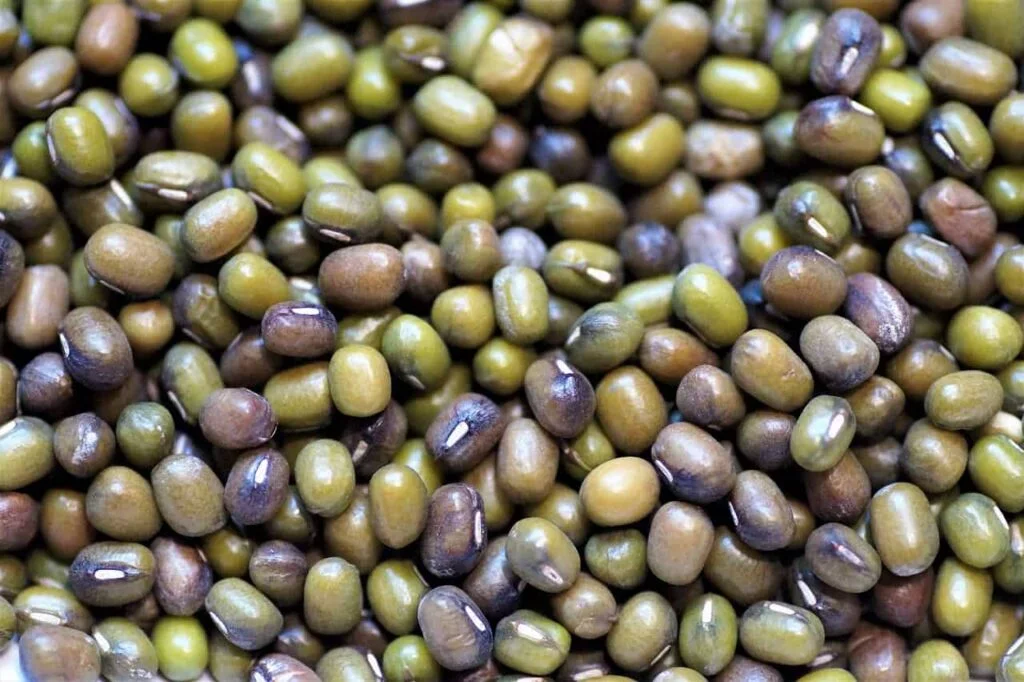 राजस्थान: समर्थन मूल्य पर सोयाबीन व उड़द की खरीद शुरु, किसानों की सहायता के लिए हेल्पलाइन नंबर जारी