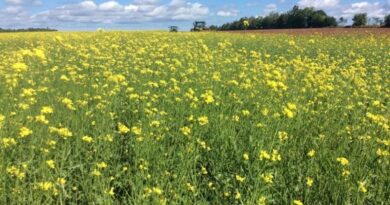 46वीं वैज्ञानिक सलाकार समिति की बैठक संपन्न