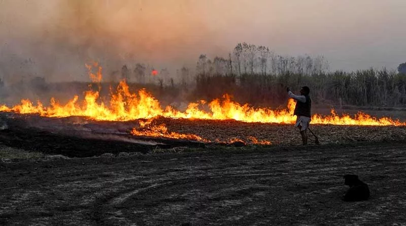 खेत में नरवाई जलाने पर लगाया ढाई हज़ार का अर्थदंड