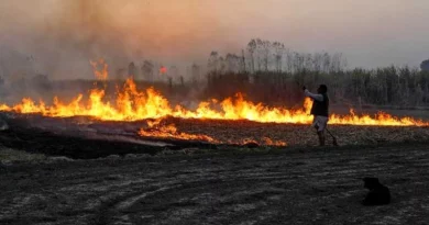 नरवाई जलाने पर एक व्यक्ति पर एफ.आई.आर दर्ज