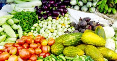 जयपुर में महंगी हुई सब्जियां, साप्ताहिक बजट पर पड़ा असर