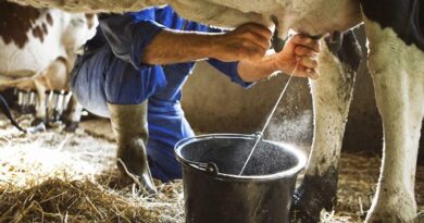 दुग्ध समृद्धि संपर्क अभियान का द्वितीय चरण शुरू