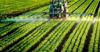 आधुनिक तकनीक से सशक्त किसान: एआई और ड्रोन से बढ़ी उत्पादकता, लोकसभा में सरकार ने गिनाईं पहलें 