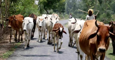 सहायक पशु चिकित्सा क्षेत्र अधिकारी निलंबित