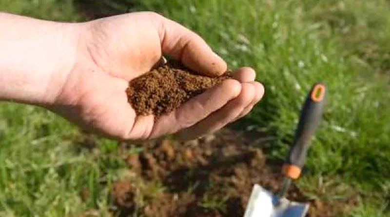 मृदा परीक्षण से दोगुना हुआ फसल उत्पादन, किसान मानसिंह भील को मृदा स्वास्थ्य कार्ड से मिला बेहतरीन लाभ