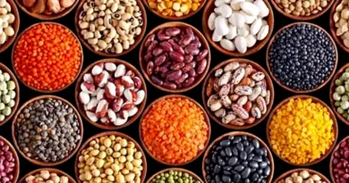 2030 तक भारत बन सकता है दलहन में आत्मनिर्भर? राज्यसभा में कृषि मंत्री ने बताया पूरा रोड मैप  