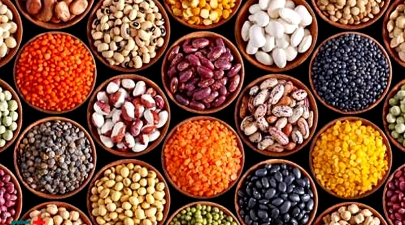 2030 तक भारत बन सकता है दलहन में आत्मनिर्भर? राज्यसभा में कृषि मंत्री ने बताया पूरा रोड मैप