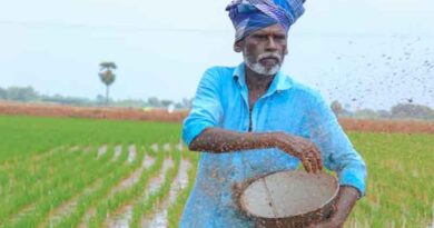 राजस्थान: किसानों को तय रेट पर गुणवत्तापूर्ण खाद व बीज समय पर उपलब्ध करवाने हेतु सरकार प्रतिबद्ध- कृषि मंत्री किरोडी