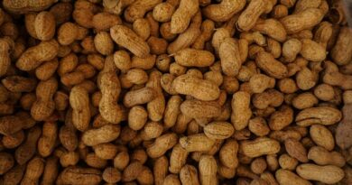 MP के किसानों के लिए खुशखबरी: सरसों-मूंगफली पर भी मिलेगा भावांतर का लाभ, खाद होम डिलीवरी व मौसम बीमा होगा शुरू