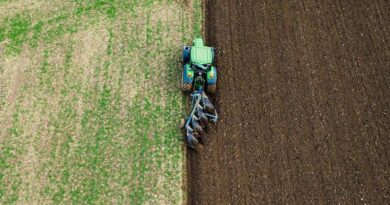 कृषि विज्ञान और AI तकनीक से किसानों को मिलेगा दूध उत्पादकता बढ़ाने में बड़ा फायदा