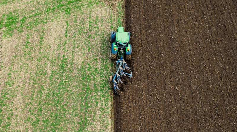 कृषि विज्ञान और AI तकनीक से किसानों को मिलेगा दूध उत्पादकता बढ़ाने में बड़ा फायदा