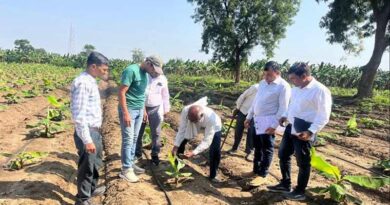 केला उत्पादन और निर्यात को बढ़ावा देने हेतु प्रशिक्षण 18 दिसंबर को