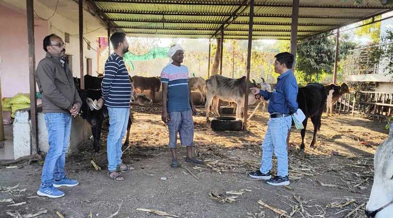 दुग्ध समृद्धि संपर्क अभियान में अब तक 639 से अधिक पशुपालकों से किया संपर्क