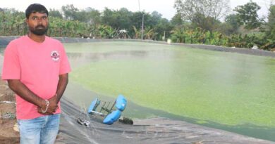 पोंड बायोफ्लॉक- कम जगह, कम लागत, ज्यादा उत्पादन