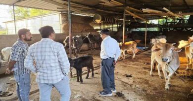 पशुपालकों की आय बढ़ाने की दिशा में सतत प्रयास जारी