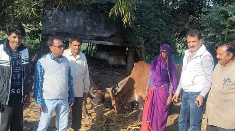 दुग्ध सम्पर्क अभियान के तहत उपसंचालक ने किया गांवों का भ्रमण