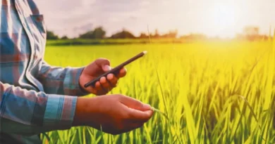 ओडिशा को डिजिटल कृषि सुधारों के लिए केंद्र से 155 करोड़ रुपये की मदद मिली